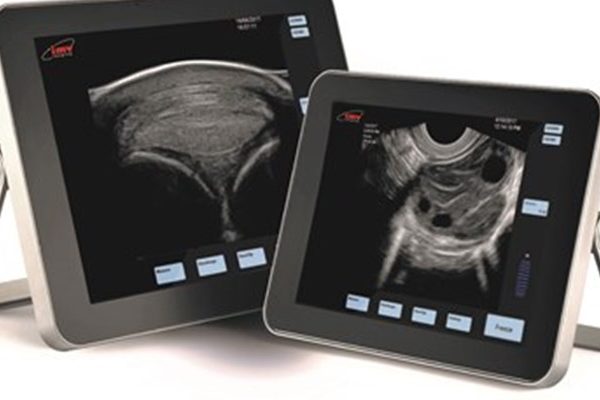 ExaPad ve ExaPad Mini Veteriner Ultrason Tarayıcıları